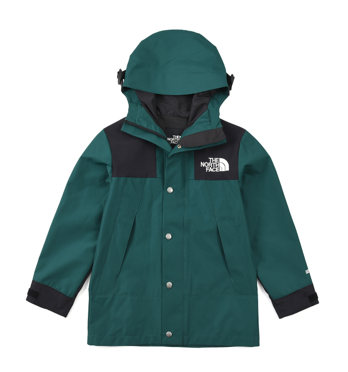TheNorthFace Goretex
