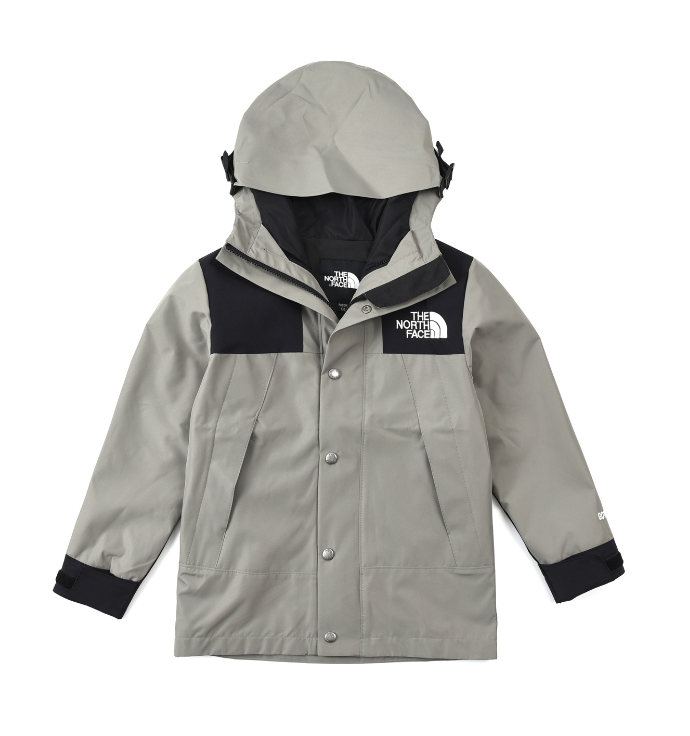 TheNorthFace Goretex