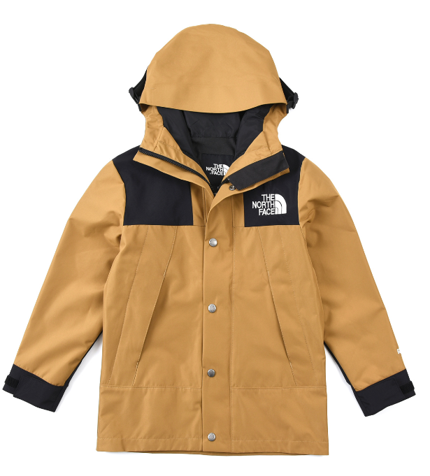 TheNorthFace Goretex